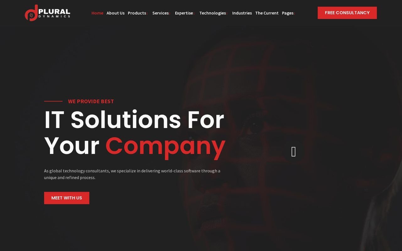 Plural Dynamics website screenshot